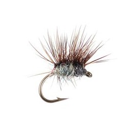 Parachute Trico Female