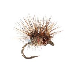 Paraloop Dark Hendrickson