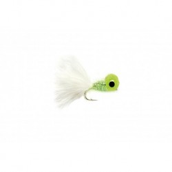 Big Eyed Panfish Bug Green