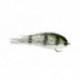 Clydesdale Silver Perch