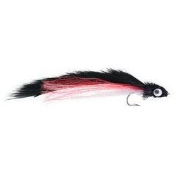 Firetail Black