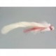 Irresistible Deerhair Diver Red and White