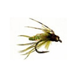 Bh Caddis Larva Brown