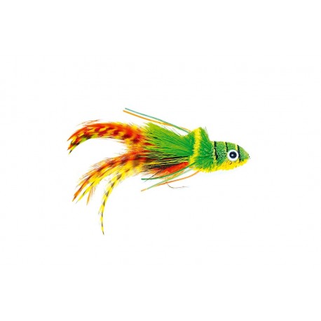 Swimming Frog Orange Belly