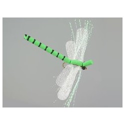 Large Dragonfly Green