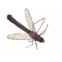 Libellule Zanzaroni Tipule