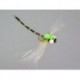 Superb Large Dragonfly Green