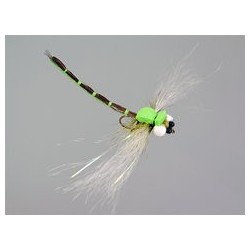 Superb Large Dragonfly Green