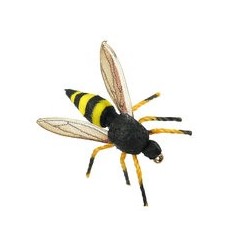 Wasp