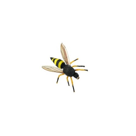 Wasp