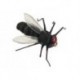 X True Black Fly
