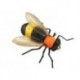 X True Bumble Bee Orange