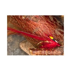 Red blade noch shrimp