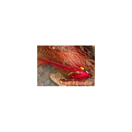 Red blade noch shrimp