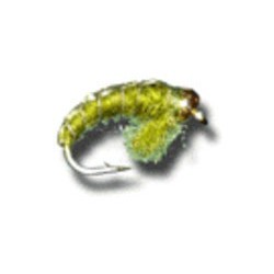 Bh Czech Nymph Olive