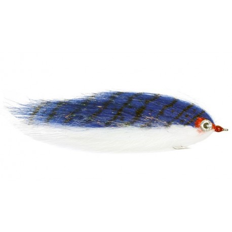 Cf Baitfish