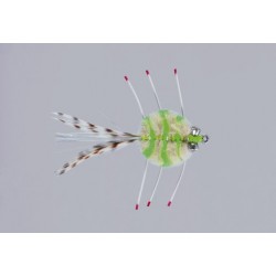 Chart Tan Merkin Crab