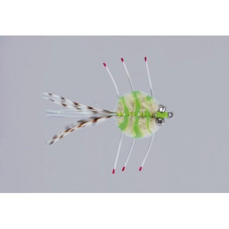 Chart Tan Merkin Crab