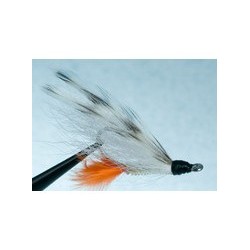 Chico Bonefish Special