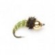Bh Green Caddis Larva