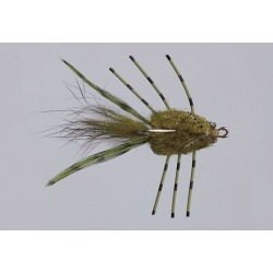 Colbys Olive Casa Blanca Raghead