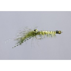 Colbys Olive Margarita Mantis