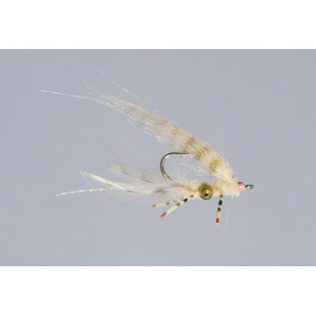 Colbys Tan Suga Daddie