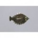 Furimskys Bugskin Flatfish
