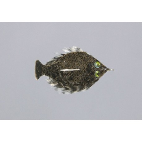 Furimskys Bugskin Flatfish