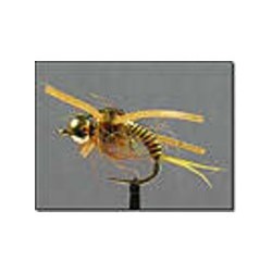 Bh Jumbo Copper John