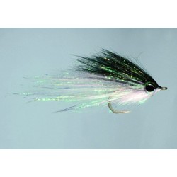 Hamiltons Bush Pig Black White