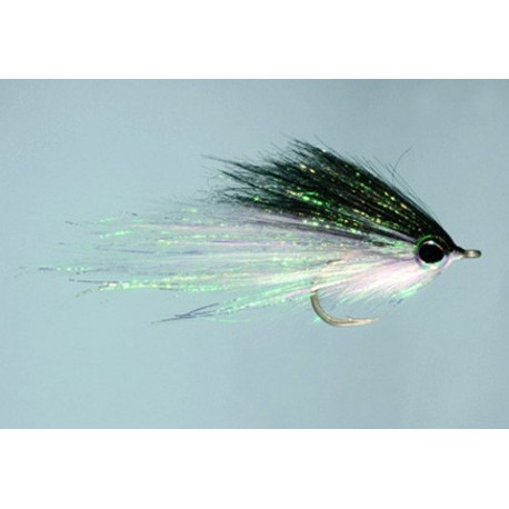 Hamiltons Bush Pig Black White