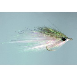 Hamiltons Bush Pig Mullet