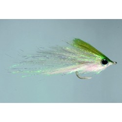 Hamiltons Bush Pig Olive