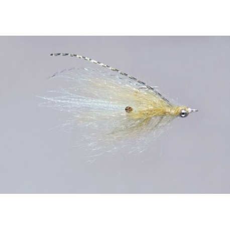 Kures Tan Eyed Polar Shrimp