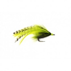 Malzones Tarpon Green