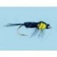 Bh Montana Nymph