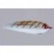 Rainys Mullet Cf Baitfish