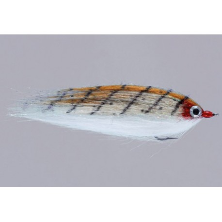 Rainys Mullet Cf Baitfish