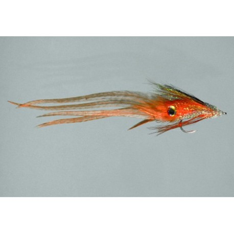 Rifchins Living Color Squid