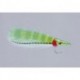 Salvinis Chartreuse Butterfly Junior