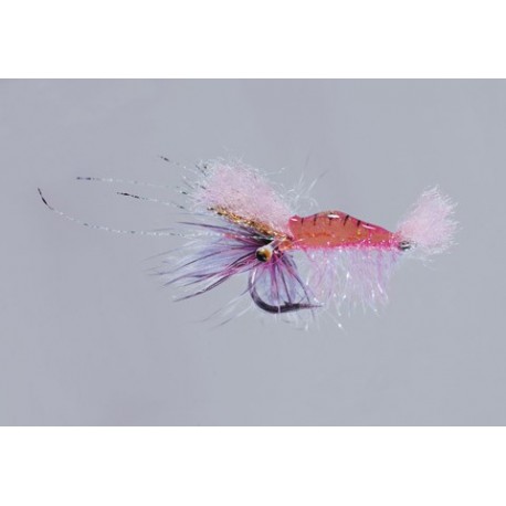 Salvinis Pink Albertos Shrimp