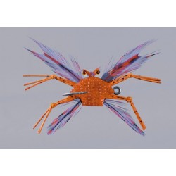 Salvinis Red Albertos Crab