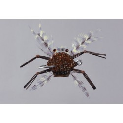 Salvinis Rock Brown Albertos Crab