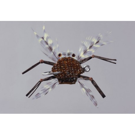 Salvinis Rock Brown Albertos Crab