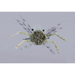 Salvinis Sand Albertos Crab