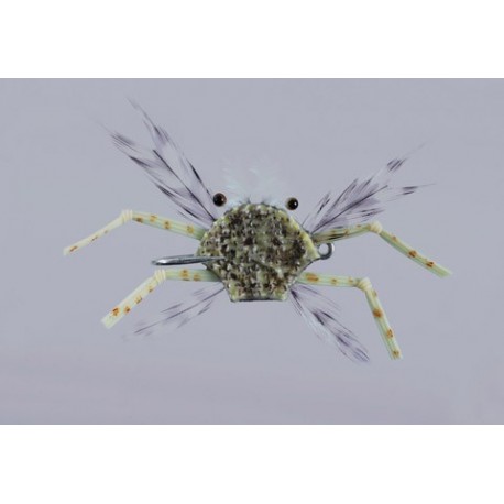 Salvinis Sand Albertos Crab