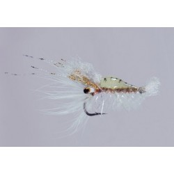 Salvinis Tan Albertos Shrimp