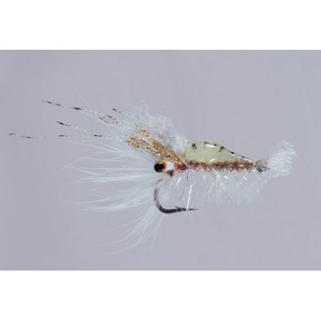 Salvinis Tan Albertos Shrimp