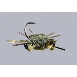 Samsons Olive Stone Crab